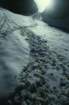 Suggestive tracce nella neve