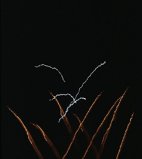 fuochi d'artificio (Modena anni '80) a mano libera