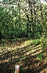 un 60 cm Field a 35 metri in forte discesa