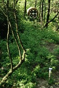 particolare di un "occhiale" 25 metri Field su terreno pari