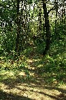 un 80 cm Hunter a 40 metri su terreno pari