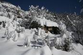 E' nevicato per 2 giorni...e si vede