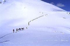 Il gruppo si appresta alla salita